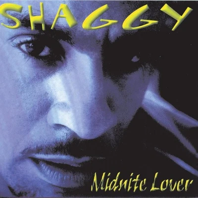 Midnite Lover 专辑 Arie (艾瑞)/Shaggy