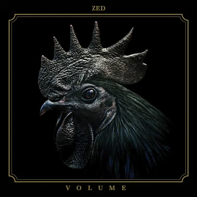 Volume 專輯 Zed