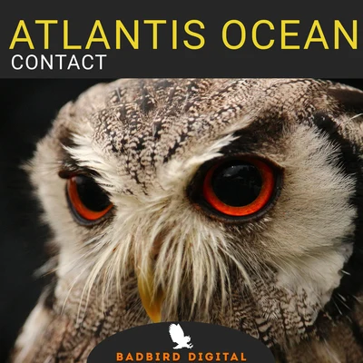 Atlantis Ocean Contact