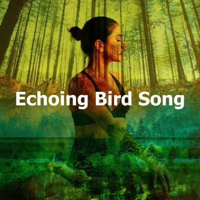 Echoing Bird Song 專輯 Meditation Relaxation Club