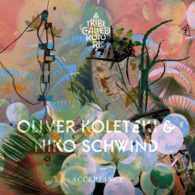 Niko Schwind Acceptance