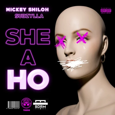 She a Ho 專輯 Mickey Shiloh/Oli Harper