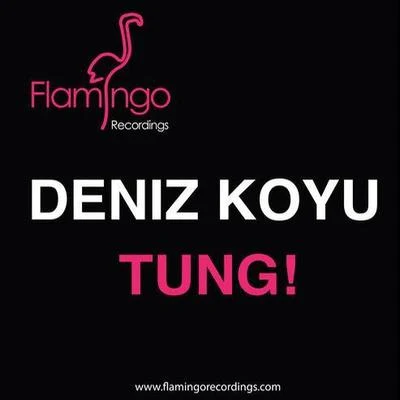 Tung! (Original Mix) 专辑 Deniz Koyu