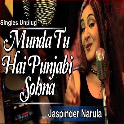 Singles Unplug 專輯 Jaspinder Narula/Tigerstyle