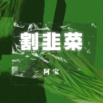 割韭菜 專輯 阿寶 (Abo)/王二妮