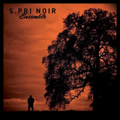 S.Pri Noir Ensemble