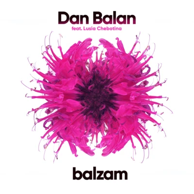 Balzam 專輯 Dan Bălan