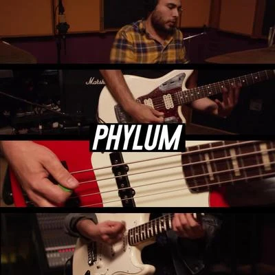 Phylum (feat. Vanessa Zamora, Joakks, Technicolor Fabrics, Wicho, Ray Coyote, Isis Zapata, David Muñoz & Los Master Plus) 專輯 Joakks