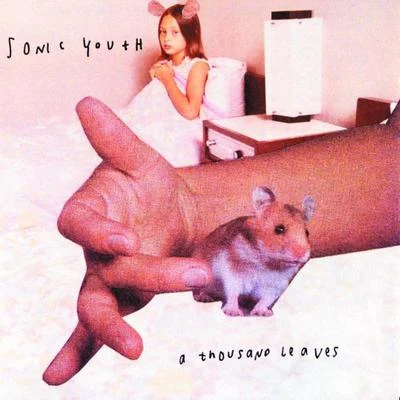 A Thousand Leaves 專輯 Sonic Youth