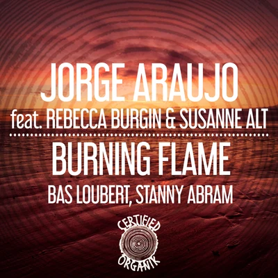 Burning Flame 專輯 Hackerbeatz/Patrick Vanto/Ganesha Cartel/Carranco/Dassoler