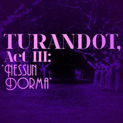 Turandot, Act Iii: "Nessun Dorma" - Single 專輯 Roger Vignoles/Dennis ONeill/Francesco Paolo Tosti