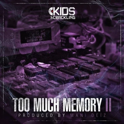 Too Much Memory, Vol. 2 專輯 Mani Deïz