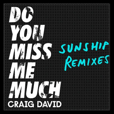 Do You Miss Me Much (Sunship Remixes) 專輯 Ripstar/Craig David