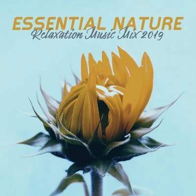 Essential Nature Relaxation Music Mix 2019 專輯 Natura Rilassante Suoni Collezione/Nature Sounds for Sleep and Relaxation/Healing Sounds for Deep Sleep and Relaxation