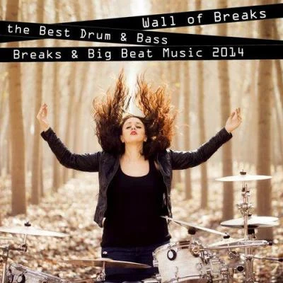 wall of breaks - the best drum bass, breaks big beat music 2014 專輯 Andy Mac