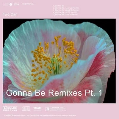 Gonna Be Remixes, Pt. 1 专辑 Savoi/Two Can