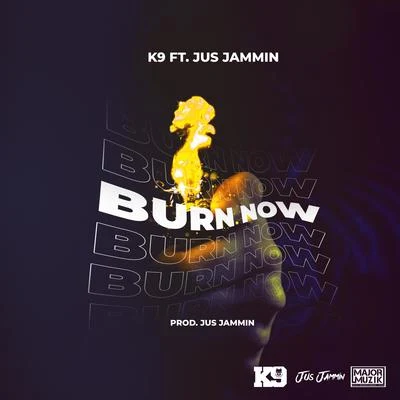 Burn Now 專輯 K9