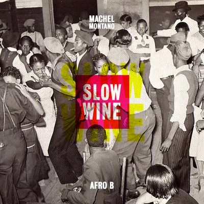 Slow Wine (feat. Afro B) 專輯 Machel Montano/Angela Hunte