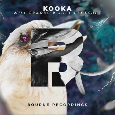 Kooka 专辑 Will Sparks