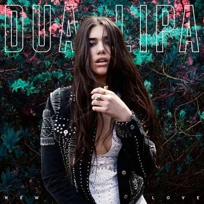 New Love 專輯 Dua Lipa/Calvin Harris