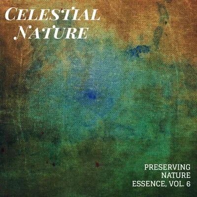 Celestial Nature - Preserving Nature Essence, Vol. 6 專輯 White Noise Meditation/Relax Ambience