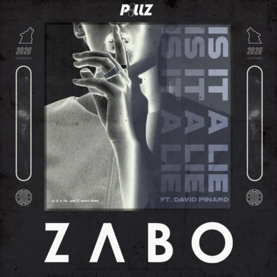 Is It A Lie (feat. David Pinard) 专辑 ZABO/Aloma Steele/Tokyo Rose