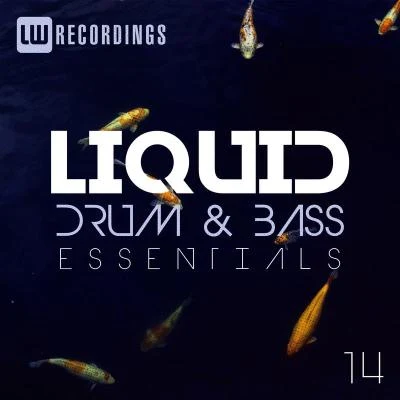 Liquid Drum & Bass Essentials, Vol. 14 專輯 Raymond/Anon/Quintino & Blasterjaxx