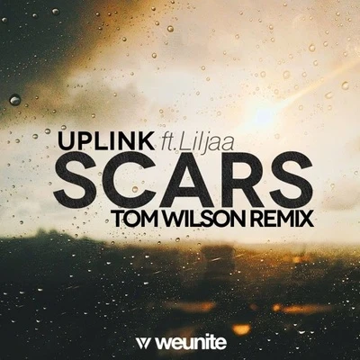 Tom WilsonFacadingJagsyDomasticRudeLiesJonthVosai Scars (Tom Wilson Remix)