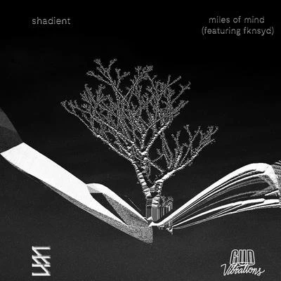 Miles Of Mind 專輯 Shadient/SLANDER/Leotrix/Dylan Matthew/Moody Good