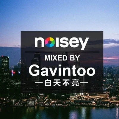 Noisey Summer Night Mix 專輯 白天不亮 (Gavintoo)/功夫胖KungFuPen/14?/step.jad