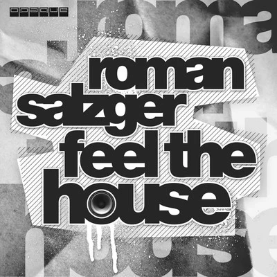 Feel the House 专辑 Roman Salzger