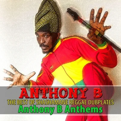 The Best of Shashamane Reggae Dubplates (Anthony B Anthems) 专辑 Anthony B/Beenie Man/Charly Black/808 Delavega/Emiz