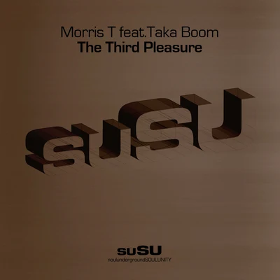 The Third Pleasure 專輯 Reworker Robot/Taka Boom/Mark Stevens/Will Gold/FOMO