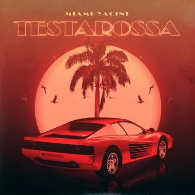 Testarossa 專輯 Miami Yacine