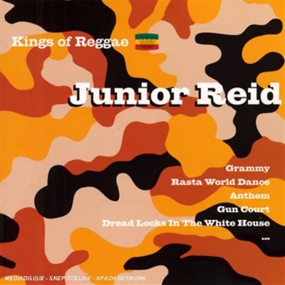 Kings of Reggae 專輯 Junior Reid