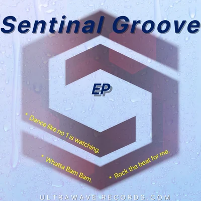 Sentinal Groove 專輯 Sentinel Groove/Tony Scott/Dimano