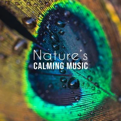 Nature’s Calming Music - Collection of 15 Songs Deeply Relaxing, Soothing and Calming 專輯 Keep Calm Music Collection