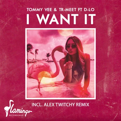 I Want It 專輯 Tommy Vee/Booty Luv/Seamus Haji/Keller