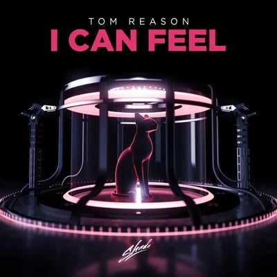 Tom Reason I Can Feel