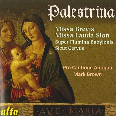 PALESTRINA, G.P. da: MassesMotets (Pro Cantione Antiqua, Brown) 專輯 Pro Cantione Antiqua