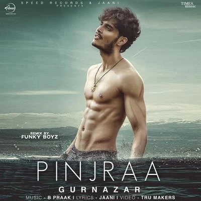 Pinjraa (Remix) - Single 专辑 Gurnazar