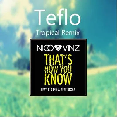 Thats How You Know (Teflo Tropical Remix) 專輯 Bow Anderson/Nico & Vinz