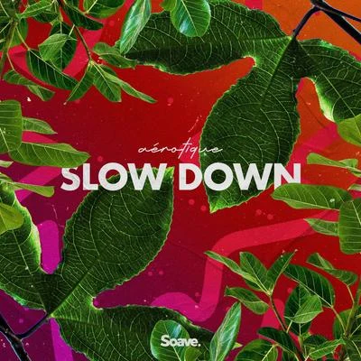 Slow Down 专辑 Aérotique