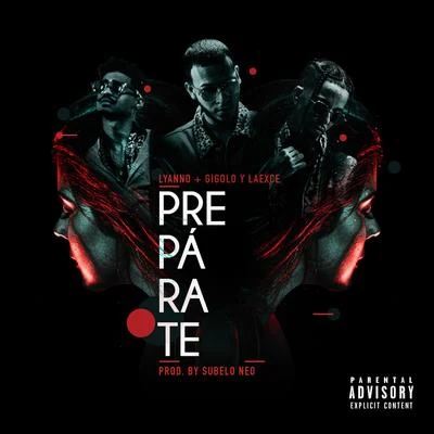 Preparate 專輯 Onyx Toca El Piano/Gigolo Y La Exce/Juanka/Pacho El Antifeka