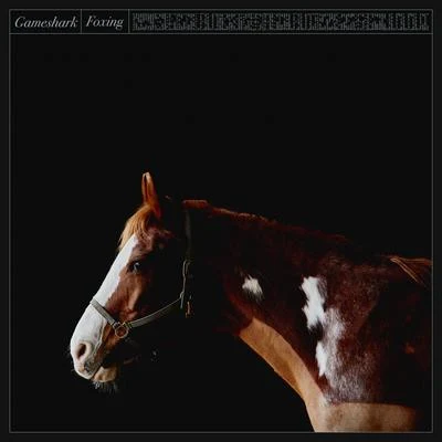 Gameshark 專輯 Foxing