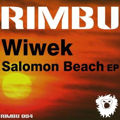 Salomon Beach EP 專輯 Wiwek/Audio Bullys