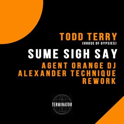 Sume Sigh Say (Agent Orange DJ & Alexander Technique Rework) 專輯 Steven Mestre/Jose Burgos/Alexander Technique/dawn soul UV你Williams