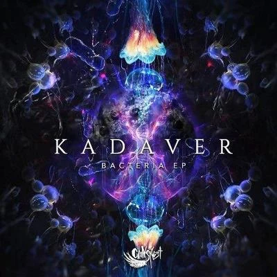 Bacteria 專輯 Kadaver