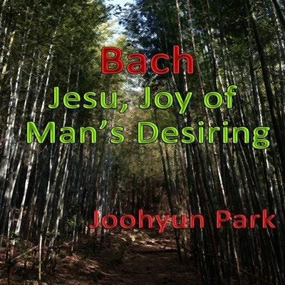 Jesu, Joy of Man&#x27;s Desiring for Piano 专辑 Joohyun Park/Jerry Goldsmith