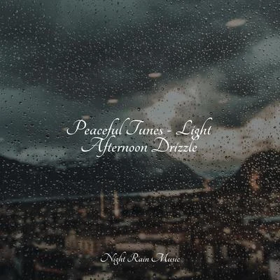 Peaceful Tunes - Light Afternoon Drizzle 專輯 Gentle Nature Sounds/Natureza/Academia de Música con Sonidos de la Naturaleza